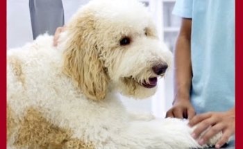 Mañas Zaragón Asociados Correduría de Seguros, S.L.