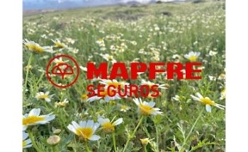 Agente seguros exclusivo - Freya Morales