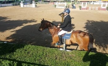 Fullcover Seguros de Caballos y Mascotas