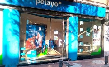 Pelayo Insurance Office
