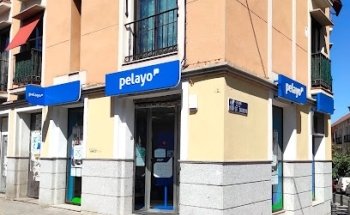 Pelayo Insurance Office