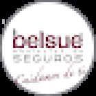 Belsué Mediación de Seguros