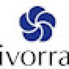 Metamediación Petrer - IVORRA