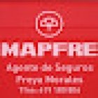 Agente seguros exclusivo - Freya Morales