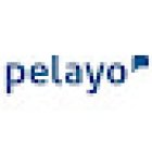 Pelayo Insurance Office