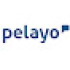 Pelayo Insurance Office